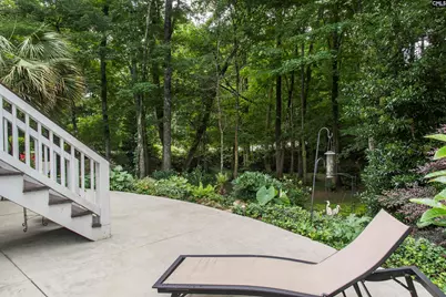 101 Woolbright Avenue, Chapin, SC 29036 - Photo 45