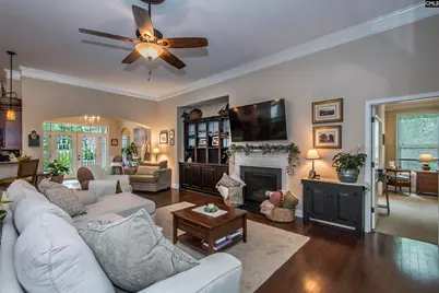 101 Woolbright Avenue, Chapin, SC 29036 - Photo 9