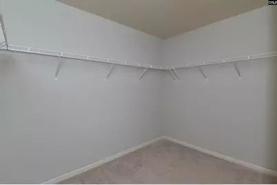 869 Sunseeker Drive, Chapin, SC 29036 - Photo 43