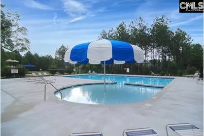 869 Sunseeker Drive, Chapin, SC 29036 - Photo 83