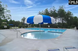 869 Sunseeker Dr, Chapin, SC 29036 - Photo 83