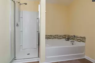 869 Sunseeker Dr, Chapin, SC 29036 - Photo 45