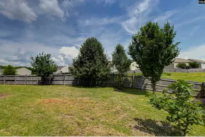 869 Sunseeker Drive, Chapin, SC 29036 - Photo 63