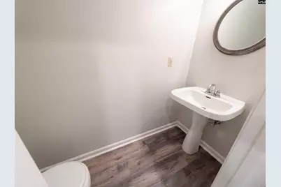 39 Saint Albans Road, Irmo, SC 29063 - Photo 19