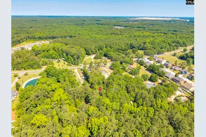 9928 Wilson Boulevard, Blythewood, SC 29016 - Photo 29
