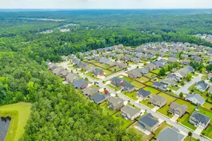 112 Wading Bird Loop, Blythewood, SC 29016 - Photo 45