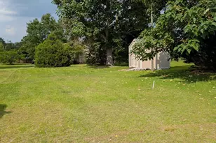 113 Hass Lucas Rd, Gaston, SC 29053 - Photo 39