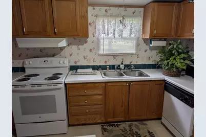 113 Hass Lucas Road, Gaston, SC 29053 - Photo 11