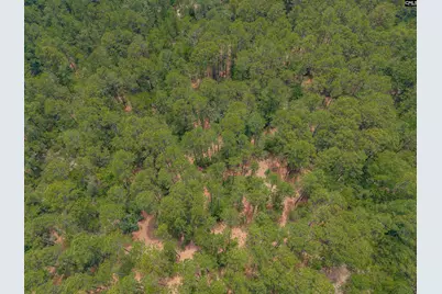 0 Woodtrail Drive, Gaston, SC 29053 - Photo 13