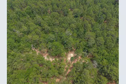 0 Woodtrail Drive, Gaston, SC 29053 - Photo 11