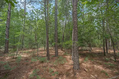 0 Woodtrail Drive, Gaston, SC 29053 - Photo 17