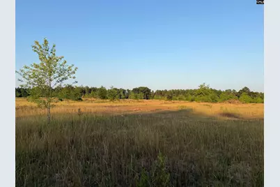 000 Livingston Road, Pomaria, SC 29126 - Photo 7