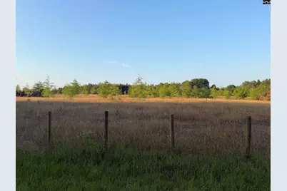 000 Livingston Road, Pomaria, SC 29126 - Photo 5