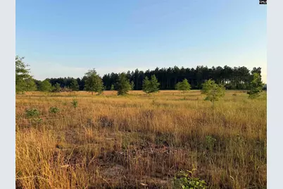 000 Livingston Road, Pomaria, SC 29126 - Photo 3