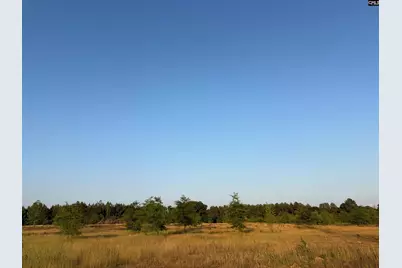 000 Livingston Road, Pomaria, SC 29126 - Photo 1