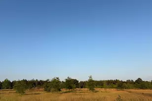 000 Livingston Rd, Pomaria, SC 29126 - Photo 1