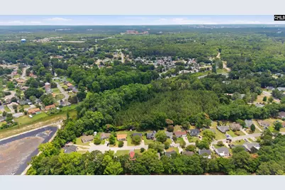 145 Pear Court, Lexington, SC 29073 - Photo 31