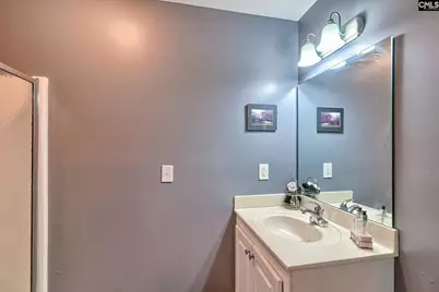 302 Lookout Hill Drive, Chapin, SC 29036 - Photo 29