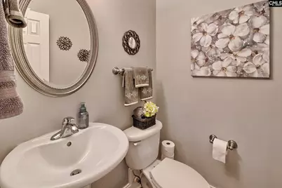302 Lookout Hill Drive, Chapin, SC 29036 - Photo 17
