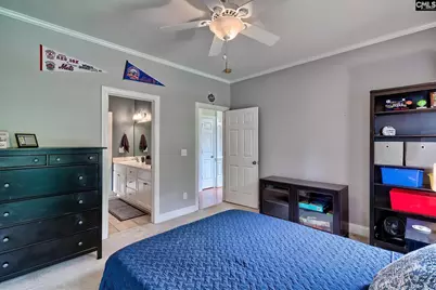 302 Lookout Hill Drive, Chapin, SC 29036 - Photo 31