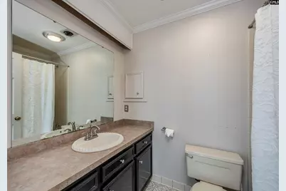 117 Otter Trail, West Columbia, SC 29169 - Photo 41