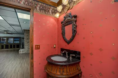 117 Otter Trail, West Columbia, SC 29169 - Photo 73
