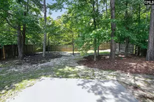 133 Wander Way, Lexington, SC 29072 - Photo 9