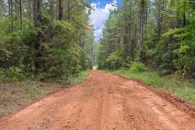 0000 Penner Rd 10 #10, Jenkinsville, SC 29065 - Photo 37
