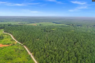 0000 Penner Rd 10, Jenkinsville, SC 29065 - Photo 1