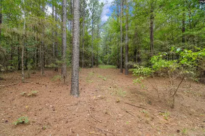 0000 Penner Rd 10 #10, Jenkinsville, SC 29065 - Photo 35