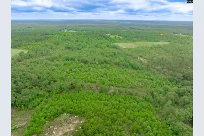 0 Seivern Road, Wagener, SC 29164 - Photo 15