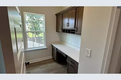 637 Falling Leaf Lane, Chapin, SC 29036 - Photo 17