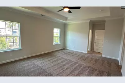 637 Falling Leaf Lane, Chapin, SC 29036 - Photo 11