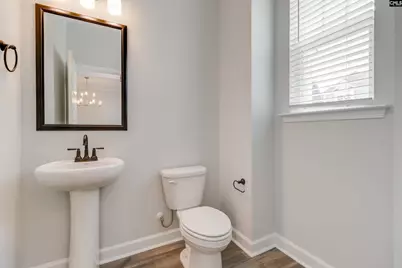 641 Falling Leaf Lane, Chapin, SC 29036 - Photo 15