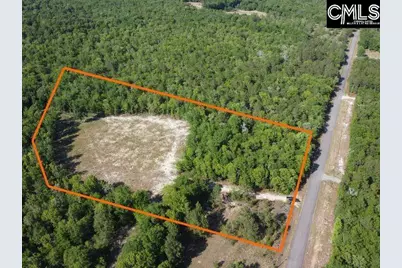 0 Browns Pond Road, Wagener, SC 29164 - Photo 3