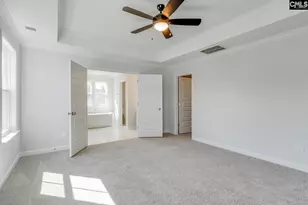 645 Falling Leaf Ln, Chapin, SC 29036 - Photo 13