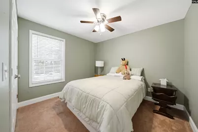 109 Kerry Gibbons Drive, Chapin, SC 29036 - Photo 17
