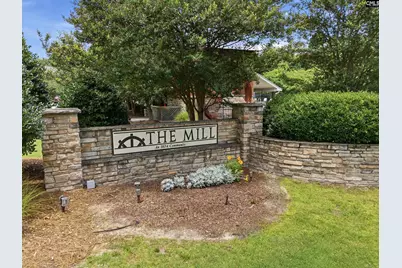 224 Millwright Drive, Lexington, SC 29072 - Photo 49