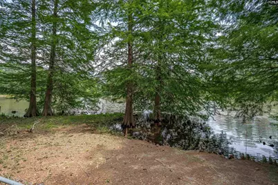 231 Tram Road, Columbia, SC 29210 - Photo 31