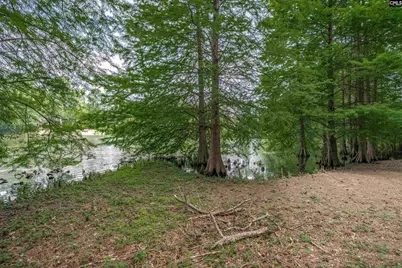 231 Tram Road, Columbia, SC 29210 - Photo 33