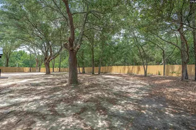 274 Swansea Road, Swansea, SC 29160 - Photo 13