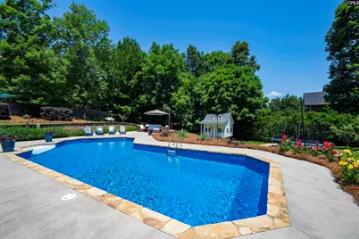 320 Forty Love Point, Chapin, SC 29036 - Photo 51