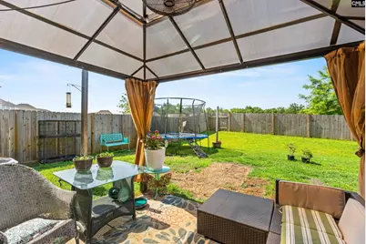 239 Wahoo Circle, Irmo, SC 29063 - Photo 31