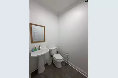 117 Settlers Ct, Lexington, SC 29072 - Photo 13