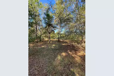 110 Willow Creek Boulevard, Lugoff, SC 29078 - Photo 3