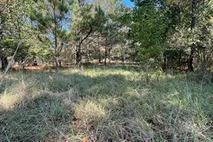 110 Willow Creek Blvd, Lugoff, SC 29078 - Photo 1
