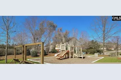 332 Buckthorne Drive, Lexington, SC 29072 - Photo 27