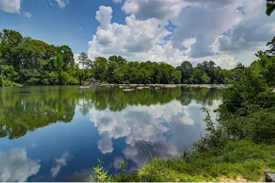 1736 McSwain Drive, West Columbia, SC 29169 - Photo 57