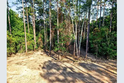 1223 Ancrums Ferry Road, Lugoff, SC 29078 - Photo 37