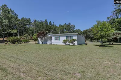 3192 Calks Ferry Road, Pelion, SC 29123 - Photo 3